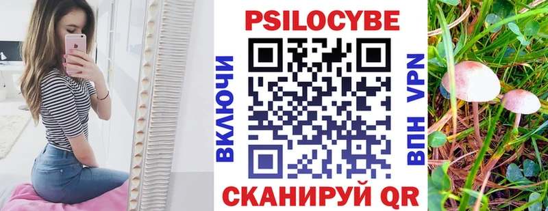 где купить наркотик Ардон Псилоцибиновые грибы ЛСД